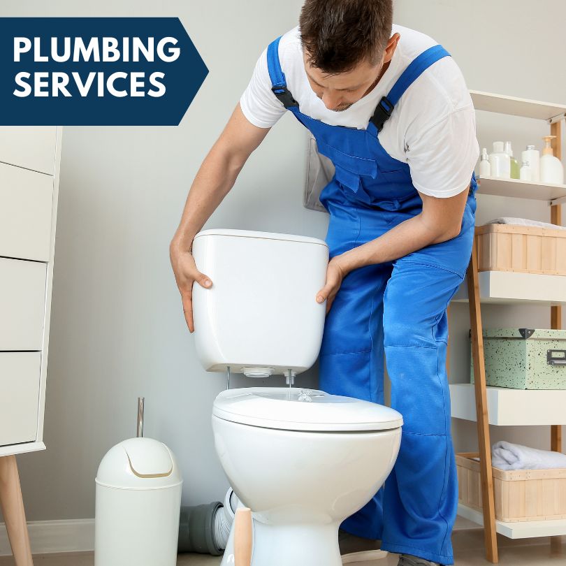 Plumbing Company in White Mountain Lake, AZ